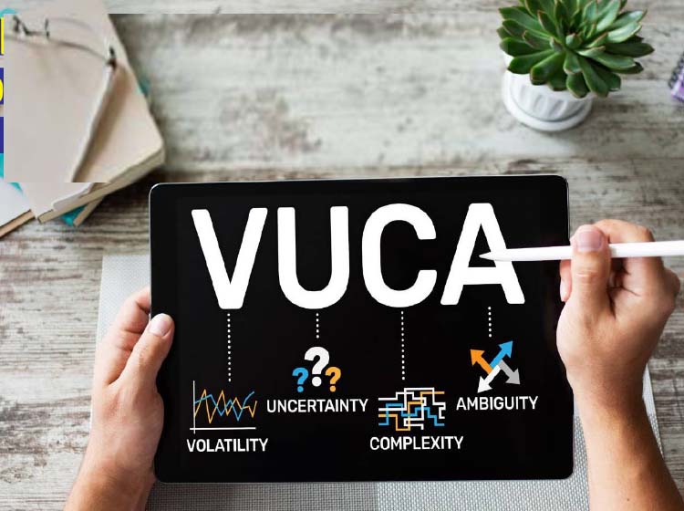 Vuca Solution